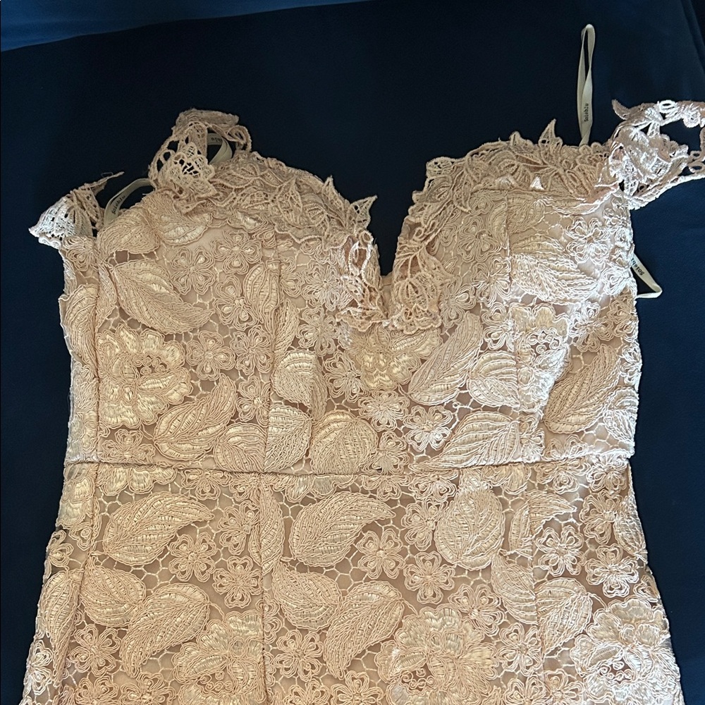 Soieblu Ivory Lace Appliqué Strapless Dress